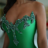 Dania - Appliqué corset gown